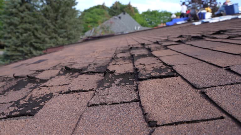 Best Emergency Roof Repair Services  in Newtown Grant, PA